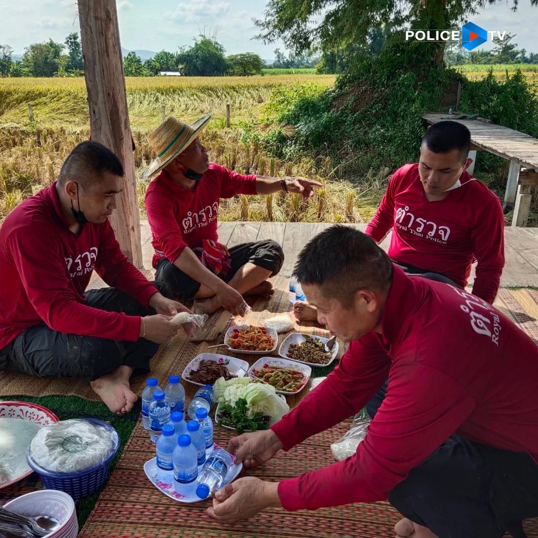 ชื่นชม ! ตำรวจผาขาว จ.เลย ช่วยตายาย 72 ปีสุดยากจน ลงแขกเกี่ยวข้าว