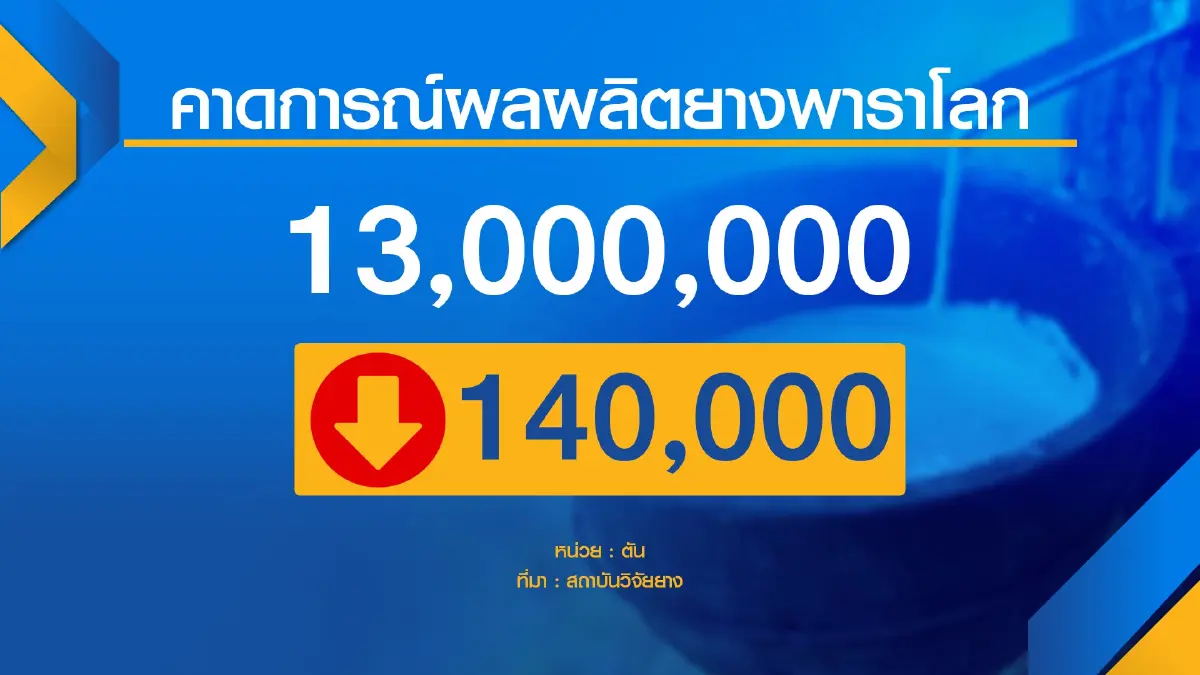 รัฐเร่งสกัดโรค ‘ใบร่วง‘ สวนยางฯภาคตะวันออก