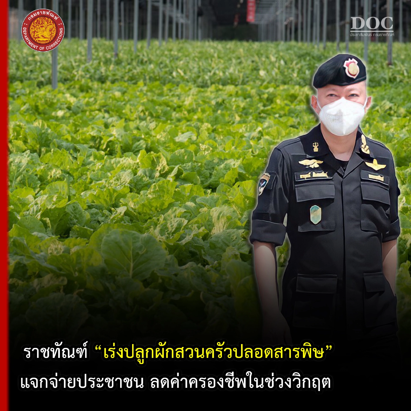 ราชทัณฑ์ สั่งปลูกผักสวนครัวให้ปชช.ฟรี/ไม่มีค่าใช้จ่าย