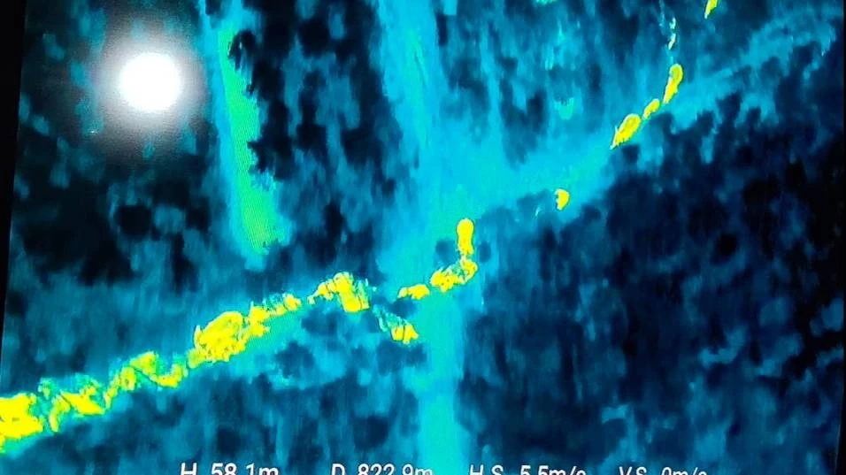 ช้างป่าเขตรักษาพันธุ์สัตว์ป่าเขาอ่างฤาไนยังไม่กลับคืนแปดริ้ว