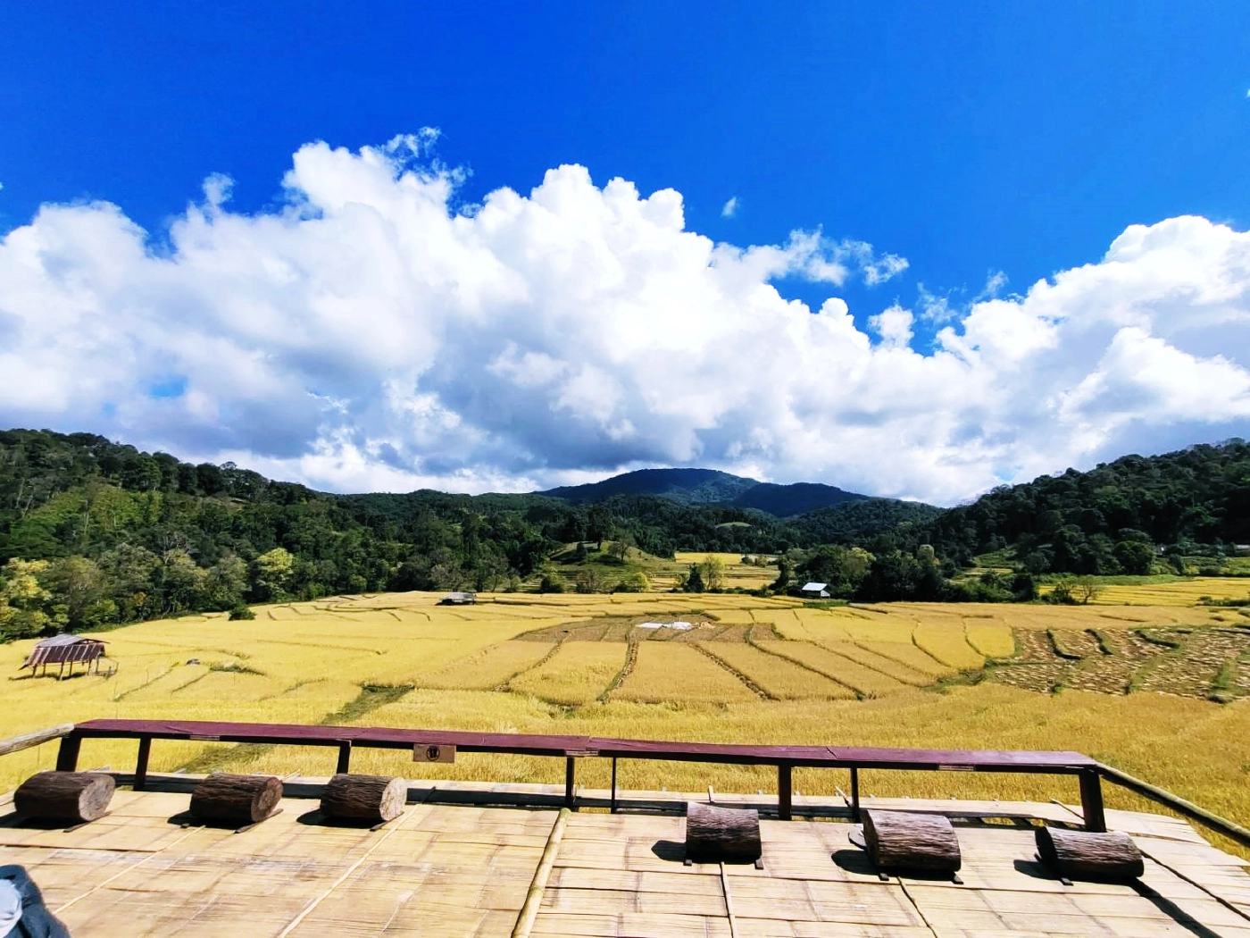  วิวสวย เครื่องดื่มดี ที่“Posaho Café ”กาแฟเด็กน้อยทำอร่อย