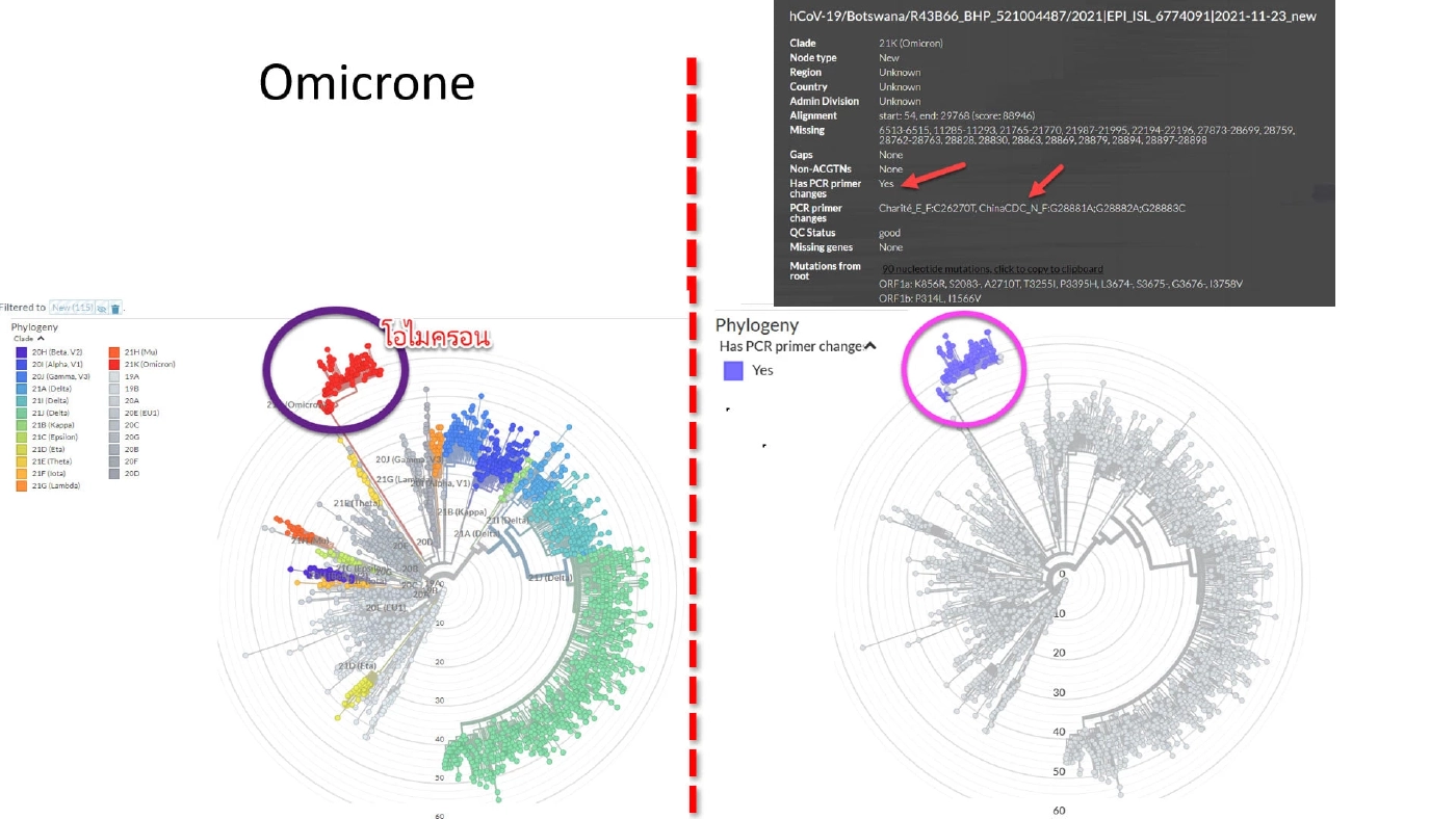 ศูนย์จีโนมฯ ห่วงชุดตรวจบางยี่ห้อ ตรวจจับสายพันธุ์โอไมครอนไม่ได้