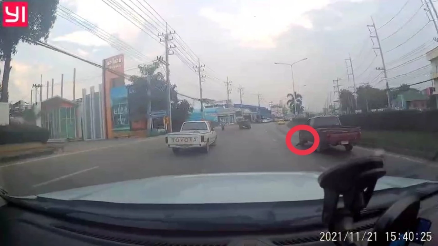 โหด! คนขับรถกระบะโยนลูกสุนัขออกจากรถถูกรถทับตาย 1 รอด 1 ตัว