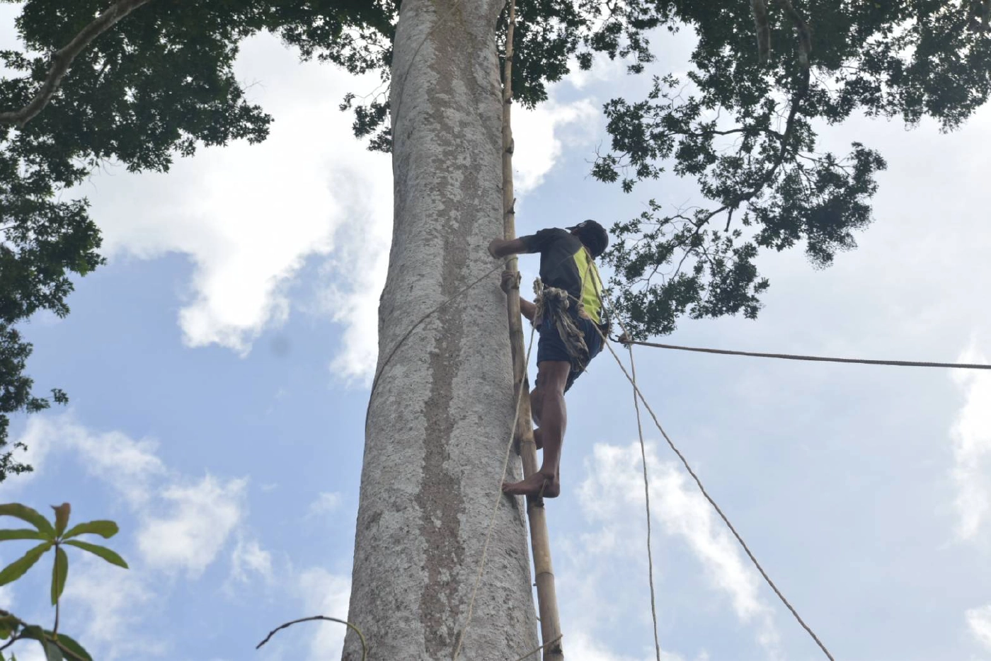 "ลูกหยีสามรส" บ้านหนองแสงสร้างรายได้ให้ชุมชน