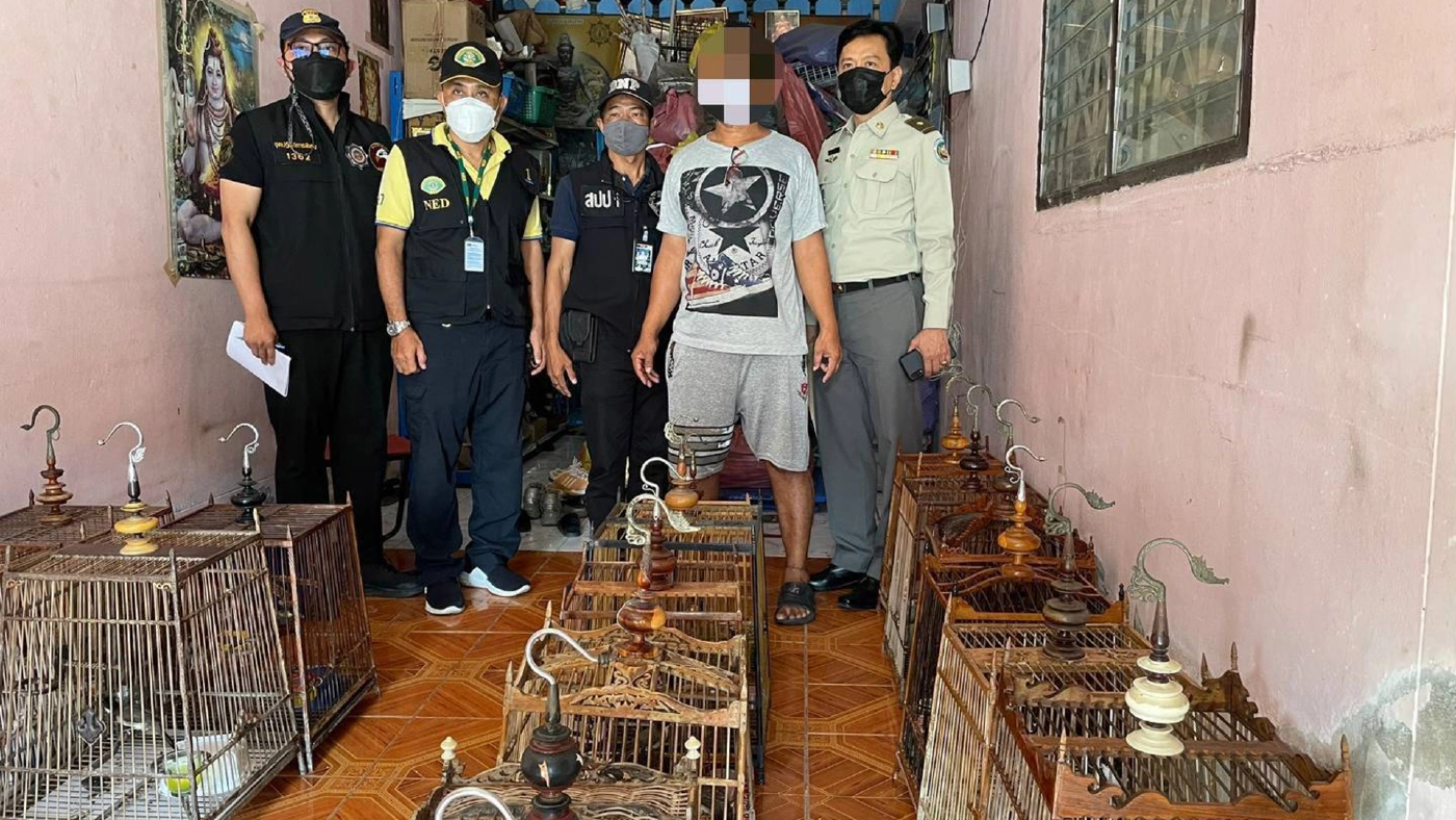 เหยี่ยวดง รวบหนุ่มลักลอบเลี้ยงนกกรงหัวจุก-นกแก้วโม่ง กว่า 41 ตัว