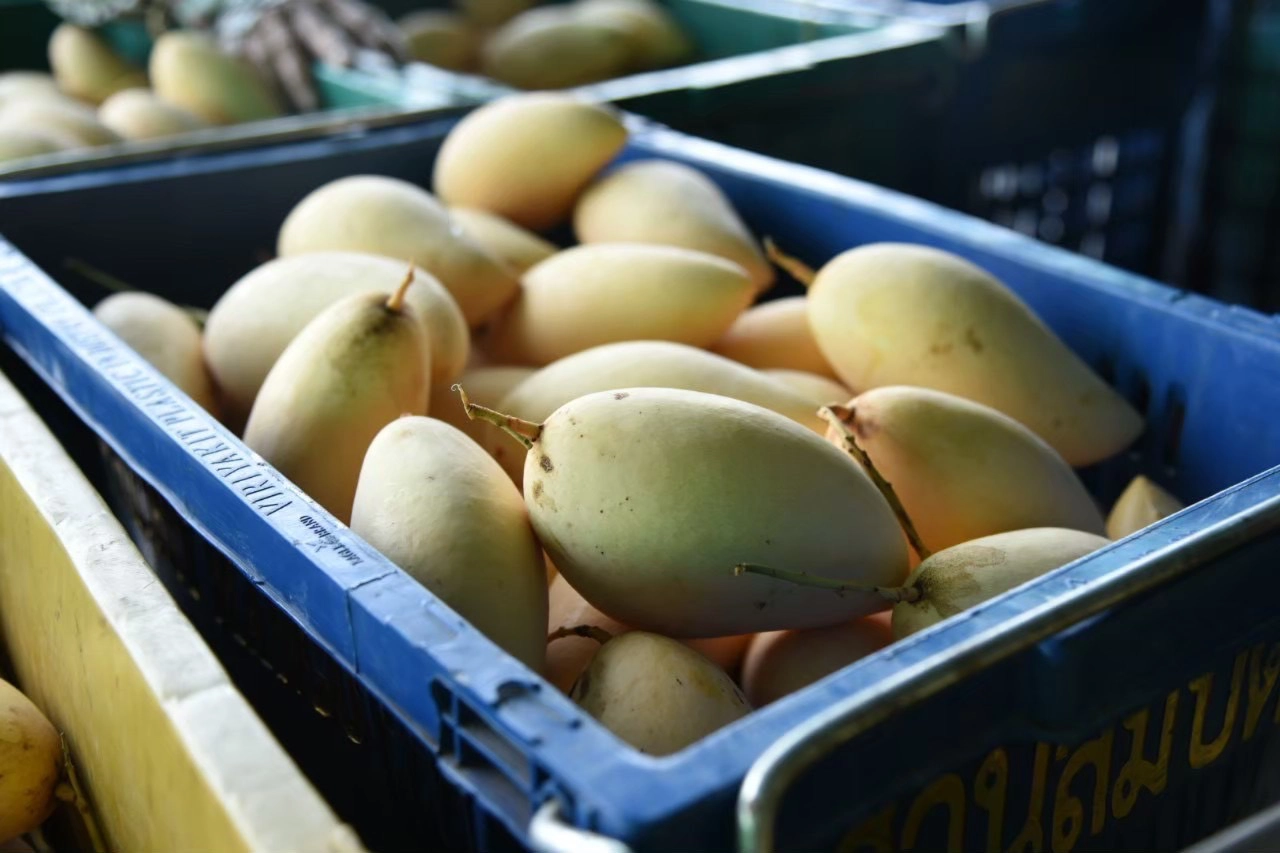 RCEP บังคับใช้ 1 ม.ค. 65 สินค้าไทยภาษี 0% กว่า 2.9 หมื่นรายการ