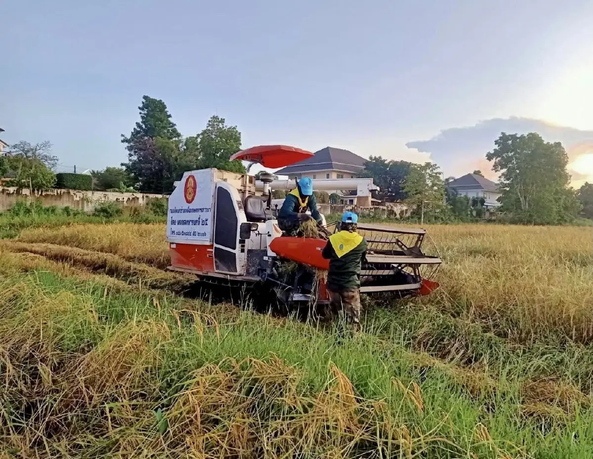 ผบ.ทบ.สั่งทหารลุยช่วยชาวนา ทั้งเก็บเกี่ยวและรับซื้อข้าวไปเลี้ยงทหาร