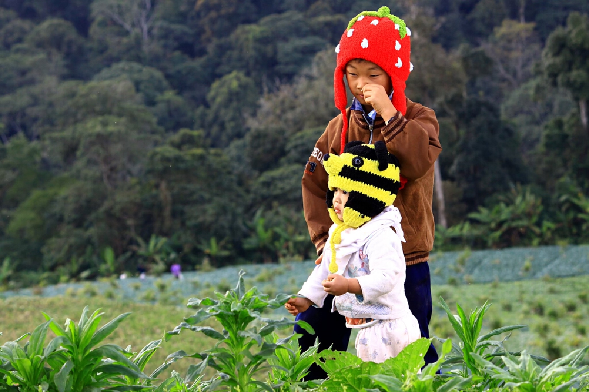 เริ่มแล้ว 2 พ.ย. เข้าสู่ฤดูหนาว – “กทม” หนาวสุด 15 องศา