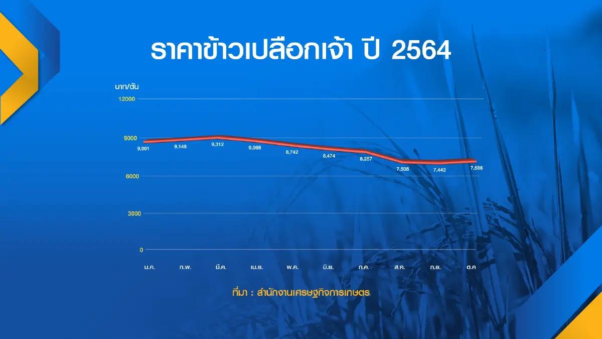 รัฐจ่อจ่ายชดเชย ‘ข้าวเปลือก‘ เกินแสนล้าน