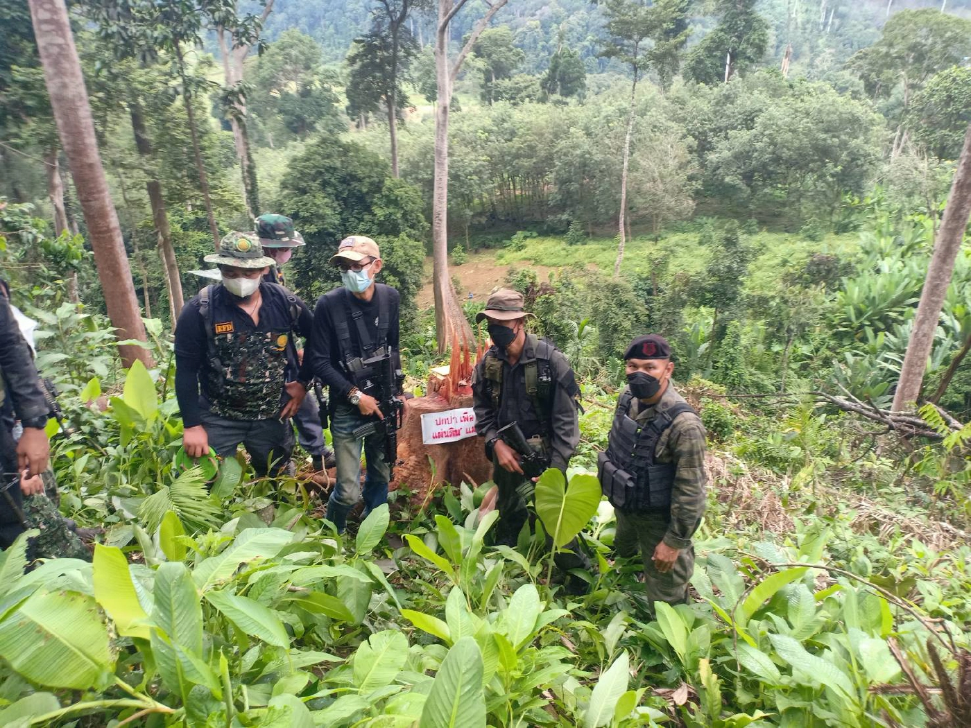 ตรวจสอบป่าต้นน้ำ แม่น้ำปัตตานีถูกทำลาย