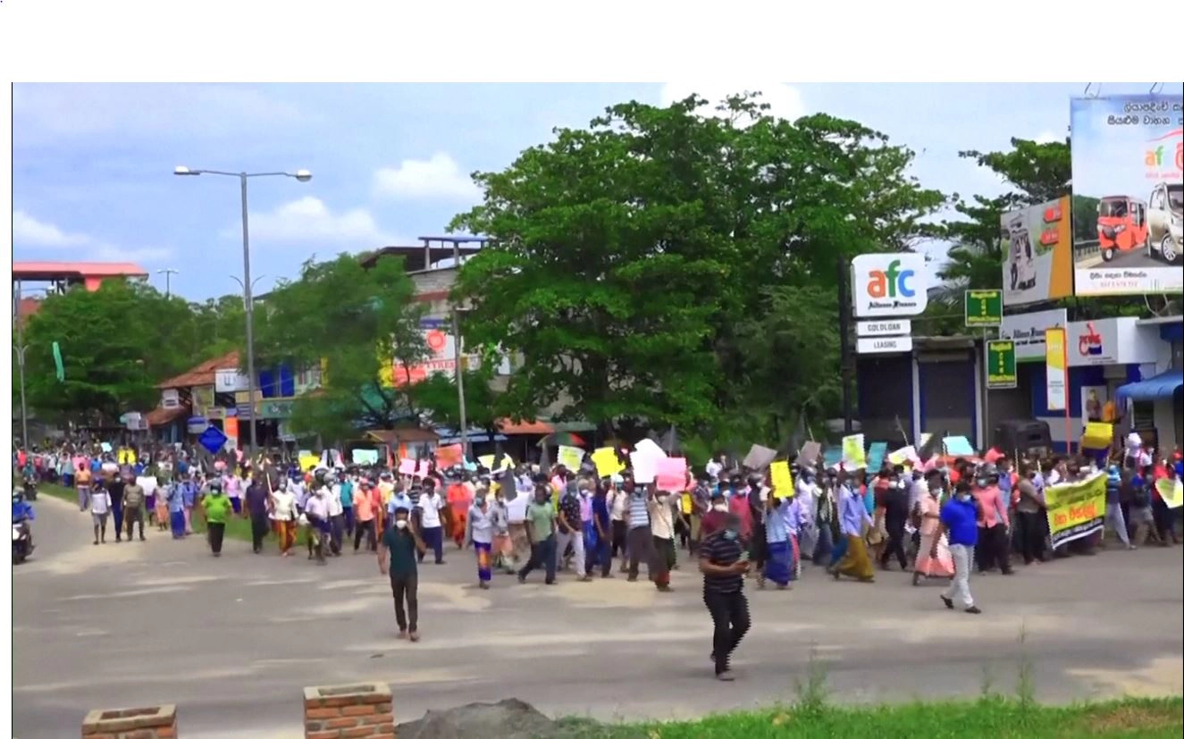 ชาวนาศรีลังกาฉุน  รัฐบาลให้ทำนาแบบไม่มีปุ๋ยเคมี