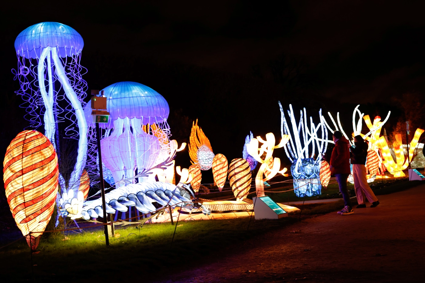 ไดโนเสาร์คืนชีพในงานนิทรรศการแสงสีที่ฝรั่งเศส