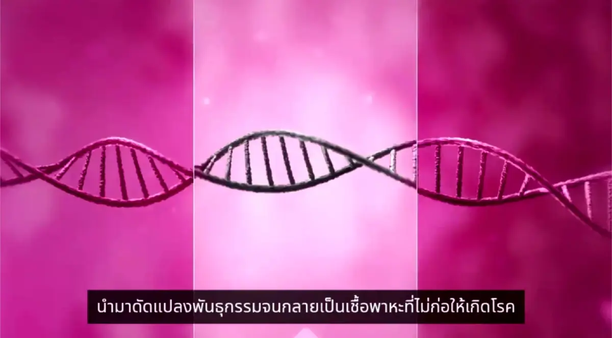 เปิดเบื้องหลัง ขั้นตอนการผลิต “แอสตร้าเซนเนก้า”  (คลิป)