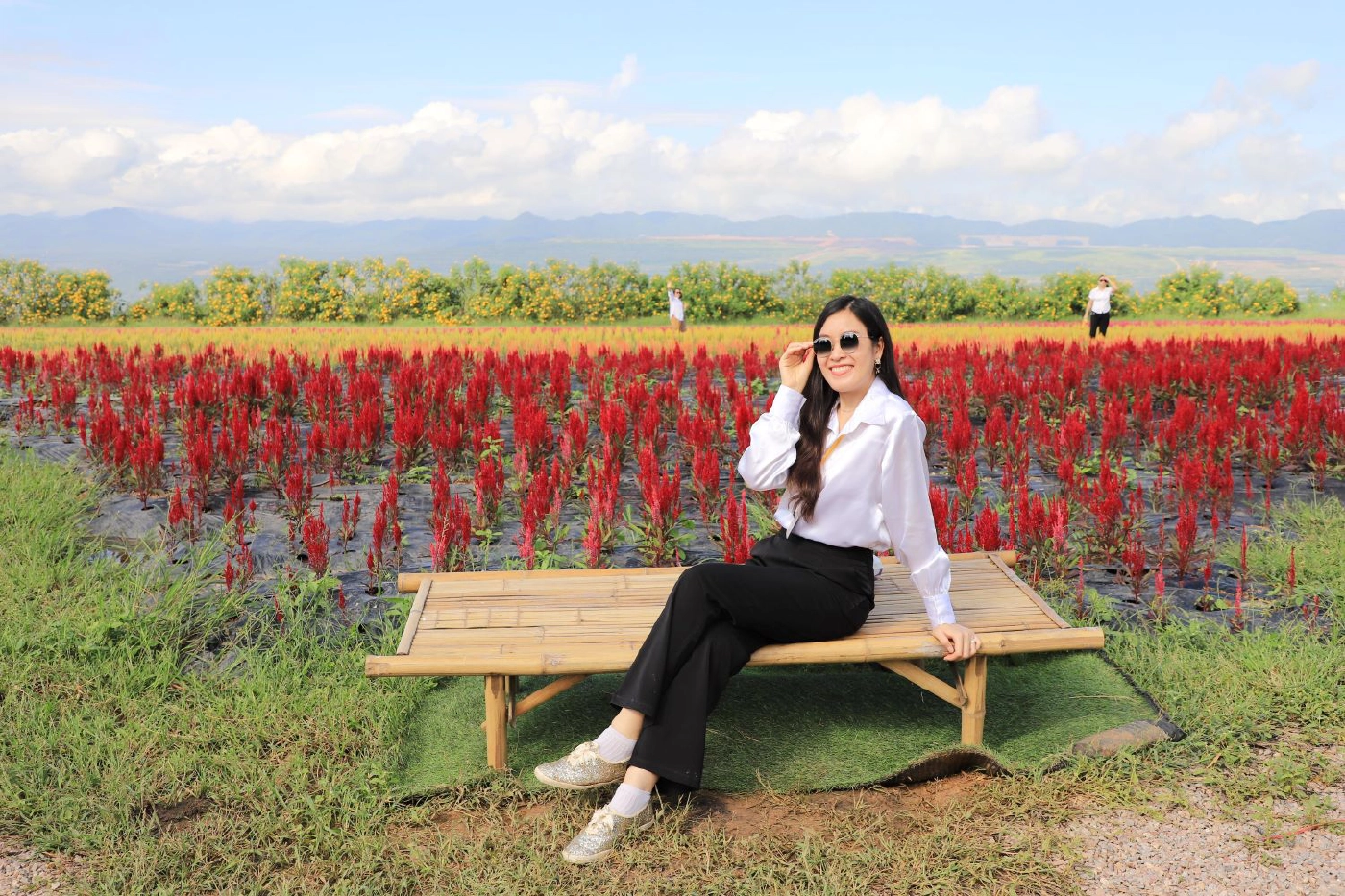 กฟผ.แม่เมาะ เนรมิตทุ่งดอกไม้-สร้าง “ขัวแตะ-เติ๋นลอยฟ้า”