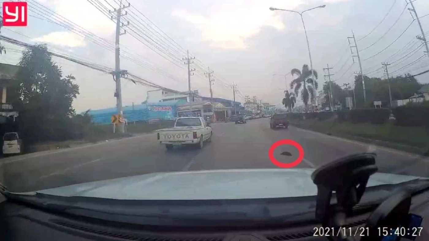 ลุงคนขับรถกระบะโยนลูกสุนัขลงถนนตายเข้ามอบตัวตำรวจ ยอมรับว่าเมาสุรา