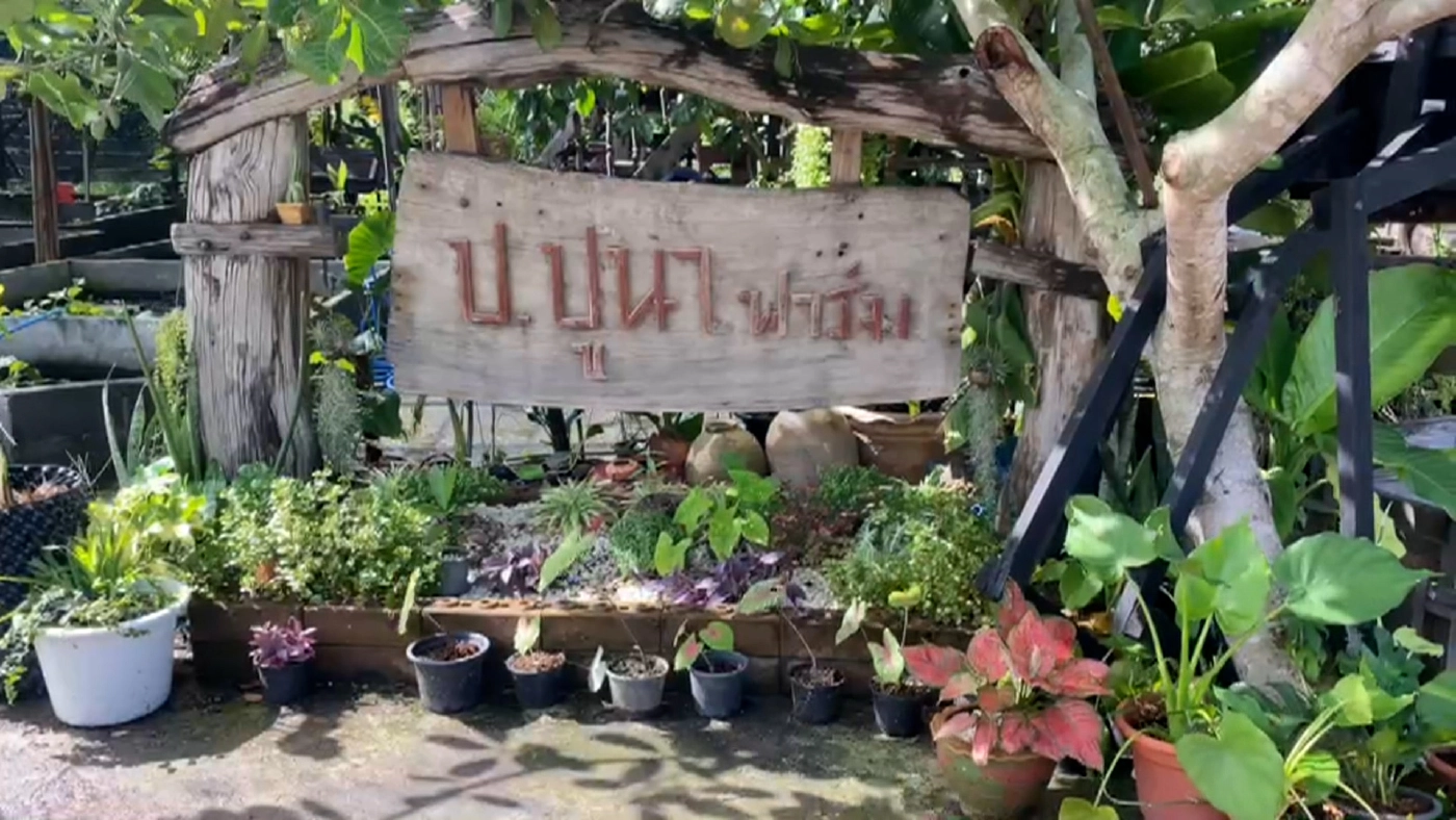 เพาะพันธุ์ ‘ปูนา‘ โกยแสนกว่าต่อเดือน!