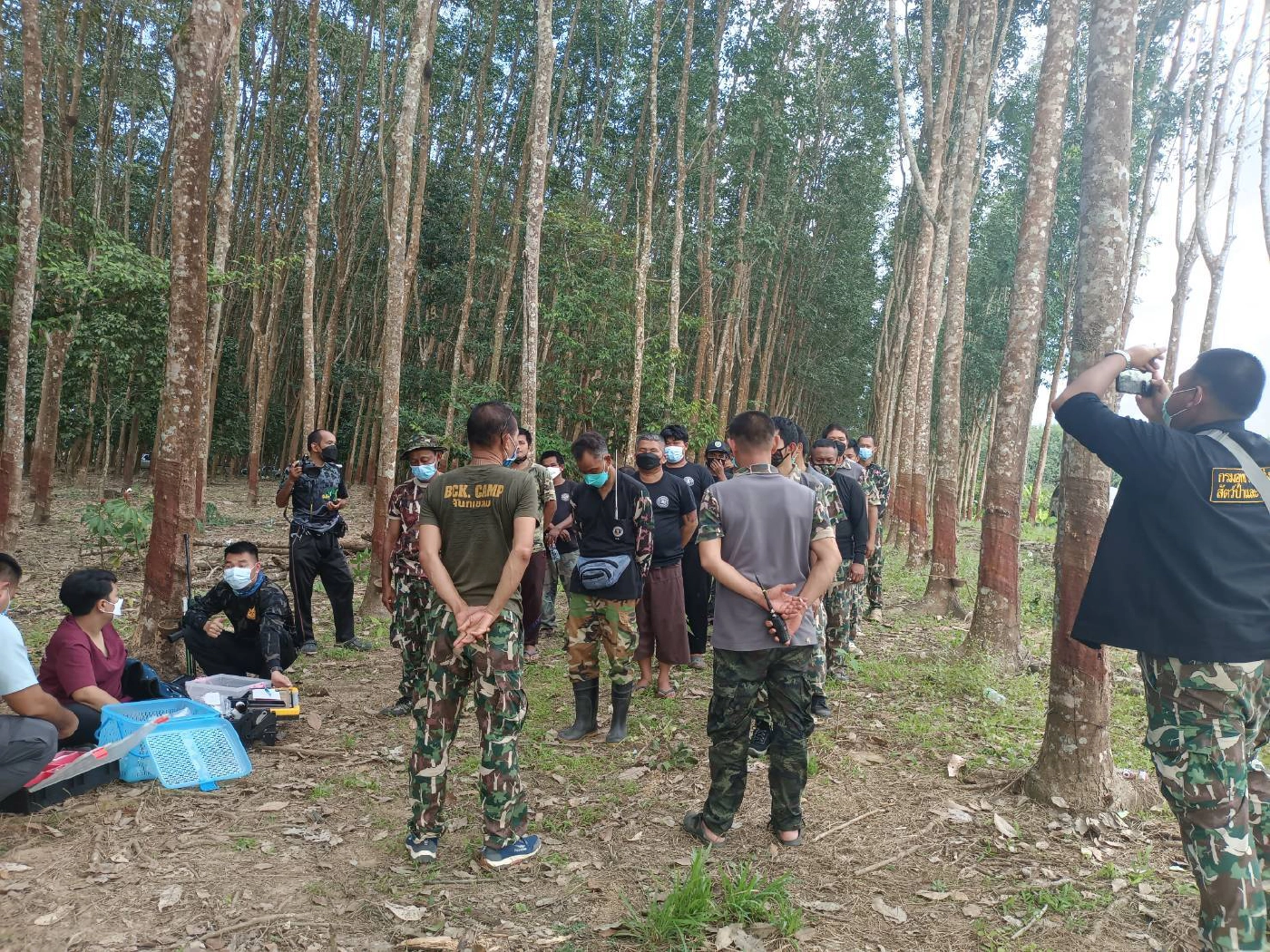 สลด! ช้างป่าทำร้ายนักข่าวเสียชีวิตขณะติดตาม จนท.เข้าทำการช่วยเหลือ