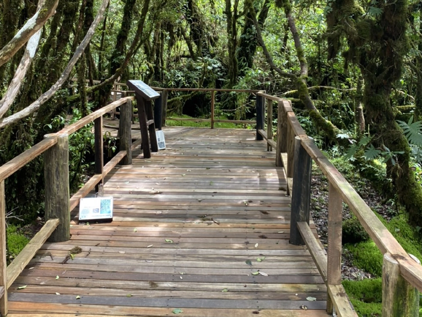 "อ่างกา" ผืนป่าจูลาสสิก พร้อมรับนักท่องเที่ยว หลังปิดนากว่า 1 ปี