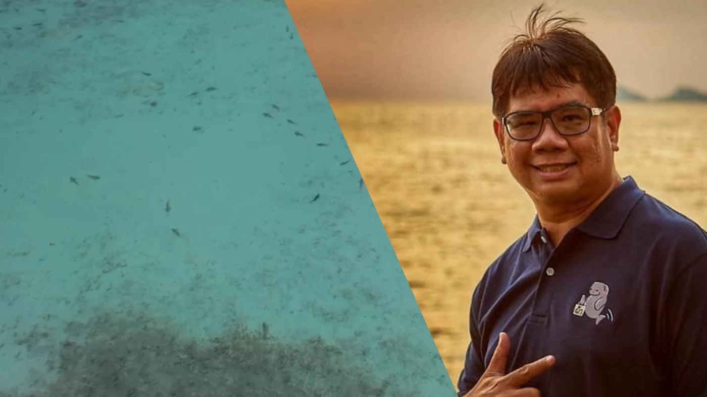 ตื่นเต้น! ดร.ธรณ์โพสต์คลิปฝูงฉลามครีบดำนับร้อยตัว ว่ายน้ำเล่นอ่าวมาหยา