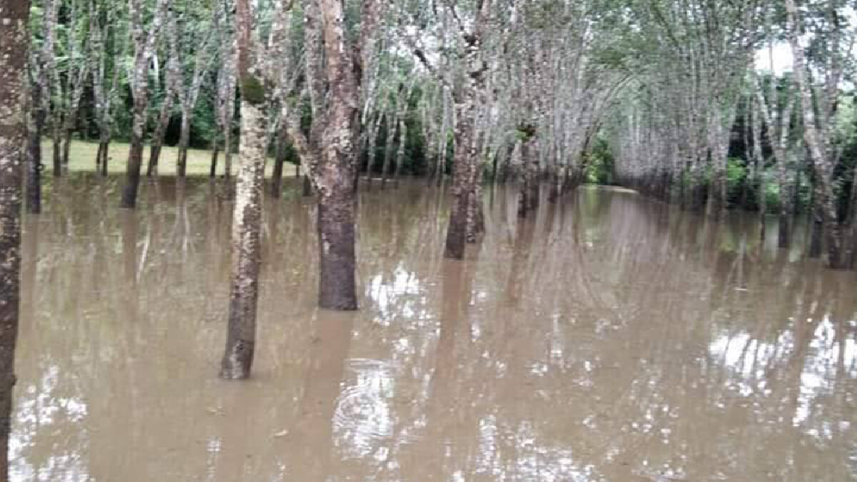 ภาคใต้ฝนยังตกหนัก กอนช.เตือนน้ำท่วม-ดินถล่ม 1-2 วันนี้