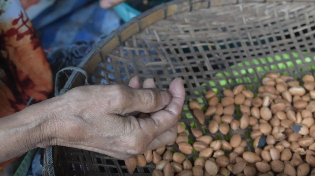 ‘ลูกหยี‘ สร้างงาน สร้างรายได้ชุมชน บ้านหนองแสง