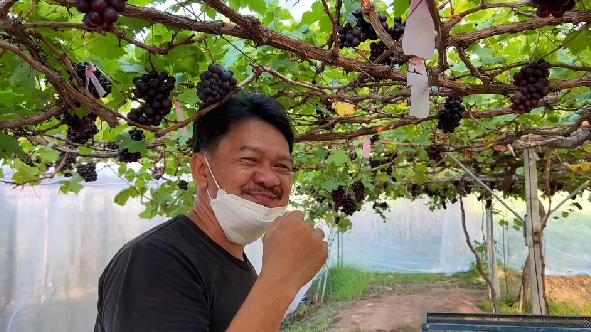 ไร่องุ่นน้ำกร่อย พลิกชีวิตหนุ่มเมืองจันท์