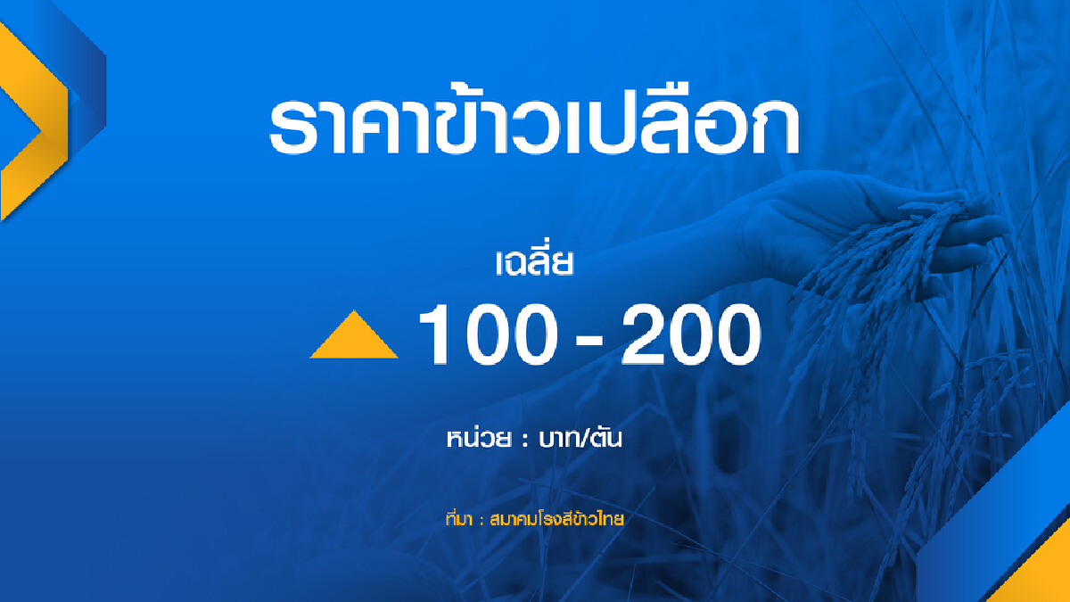 บรรดาโรงสีแย่งซื้อดัน ‘ข้าว‘ ราคาพุ่ง