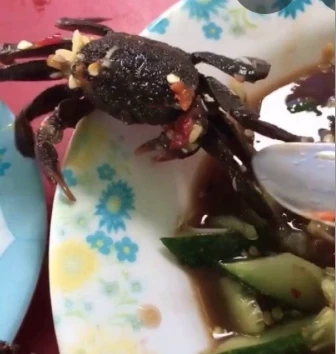 กรมอนามัย เตือน! กินปูสดๆเสี่ยงพยาธิ แนะปรุงสุก