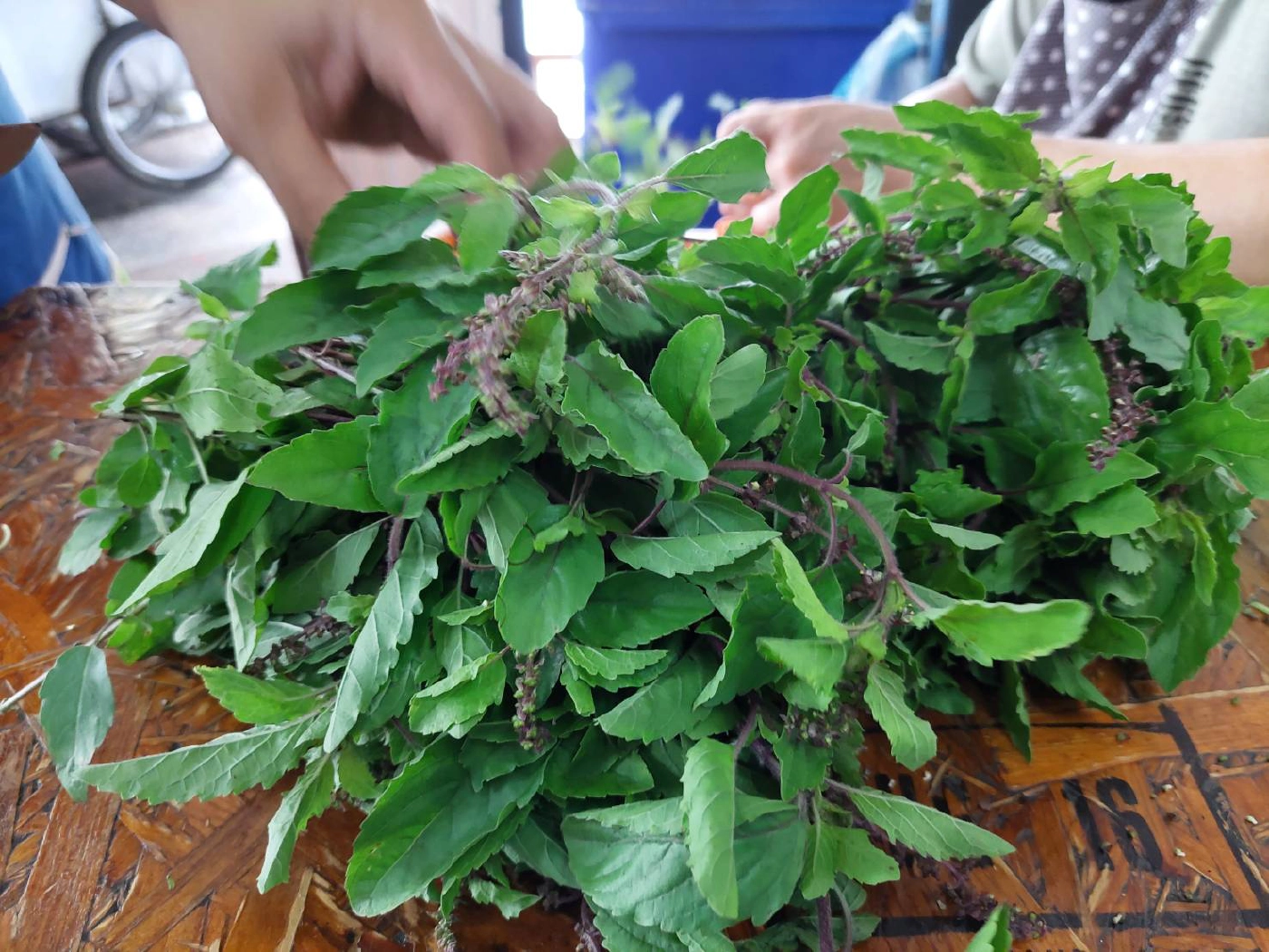 ราคาผักแพงเป็นประวัติการณ์ ลูกค้าบ่นระนาว