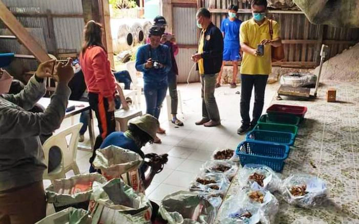 เตรียมส่งสำนวนกลุ่มเกาะลิบงย่องแทงรังนก ให้ ป.ป.ช. ดำเนินการ