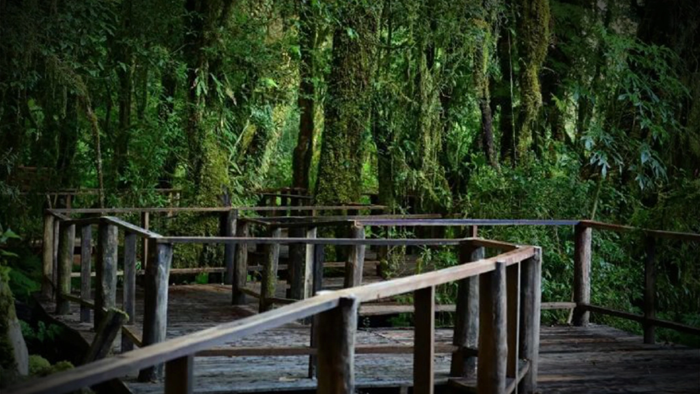 เส้นทางเดินศึกษาธรรมชาติอ่างกา อุทยานแห่งชาติดอยอินทนนท์ จ.เชียงใหม่