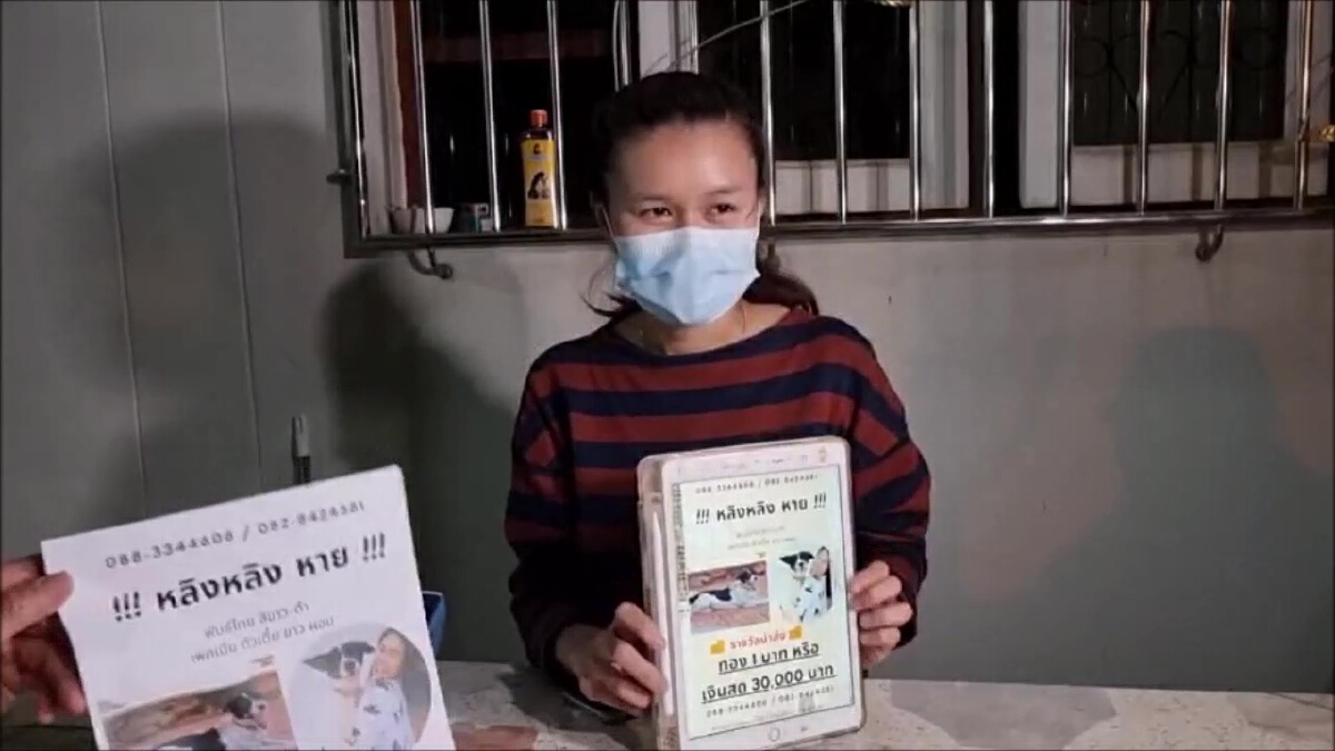 ฮือฮา เจ้าของร้านทองใจป้ำประกาศหาน้องหมาให้รางวัลเงิน3หมื่นหรือทอง1บาท