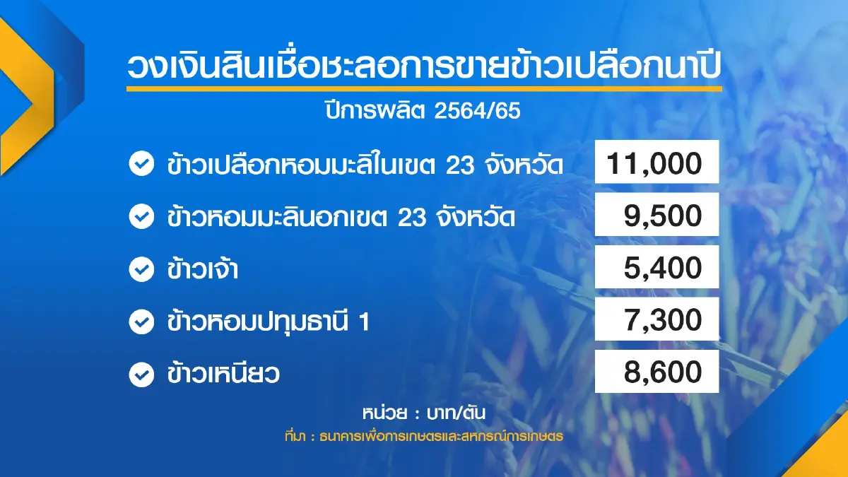 ธ.ก.ส.ทุ่ม 3.5 หมื่นล้านช่วยสินเชื่อชาวนา