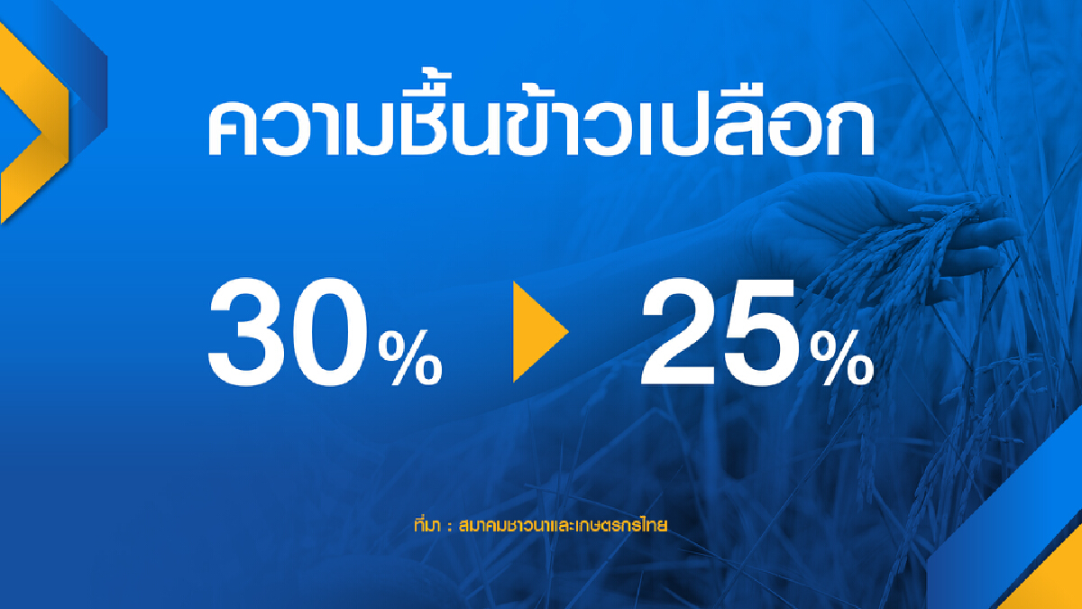บรรดาโรงสีแย่งซื้อดัน ‘ข้าว‘ ราคาพุ่ง