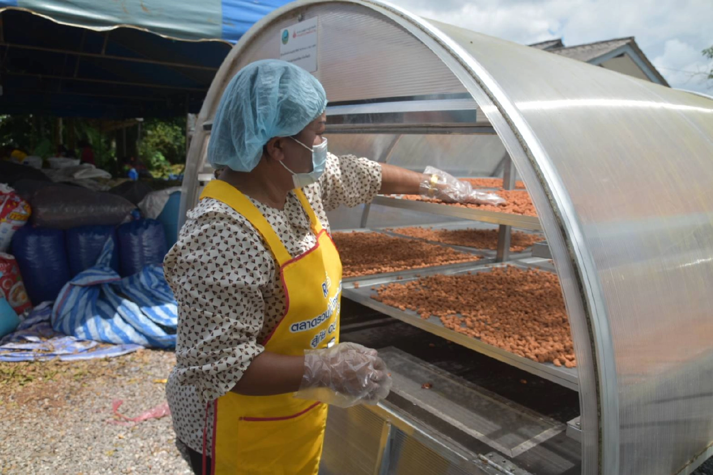 "ลูกหยีสามรส" บ้านหนองแสงสร้างรายได้ให้ชุมชน