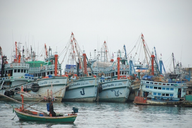 ข่าวดี! แรงงานขาดแคลน กรมประมงรับสมัครแรงงานในเรือประมงจำนวนมากรายได้ดี