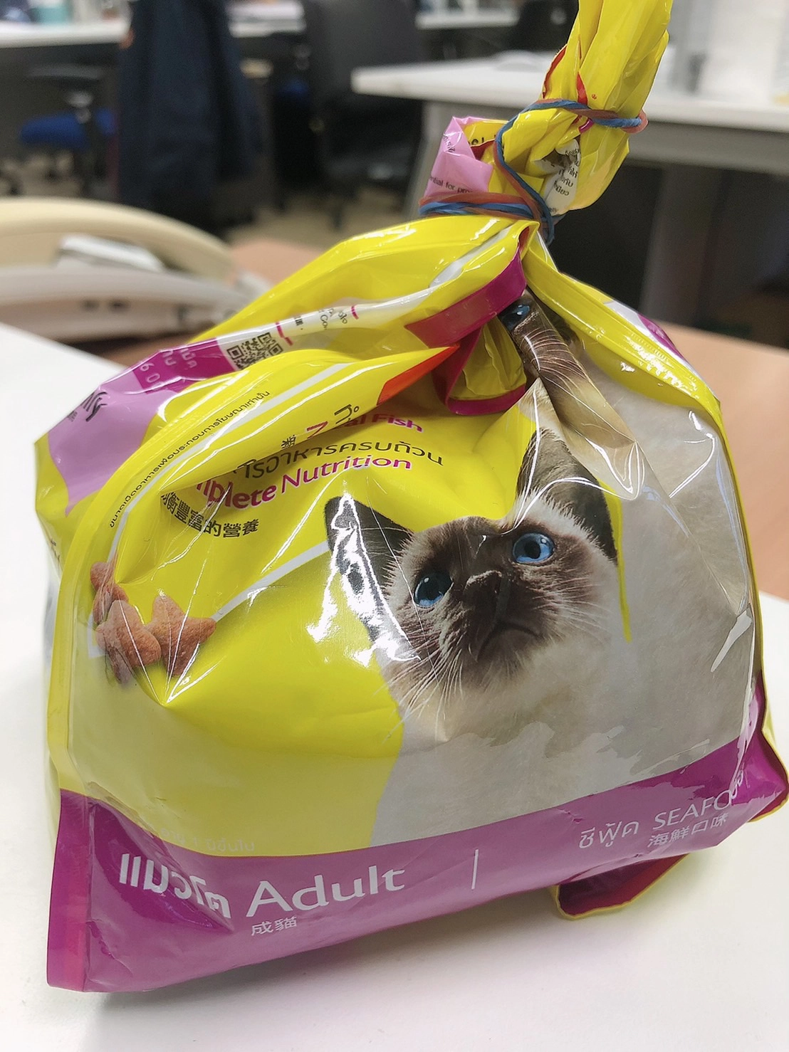 ทาสแมวหนุ่มม.5 สุดเศร้า หลังน้องแมวสุดที่รักจากไป วอนขอกำลังใจชาวเน็ต