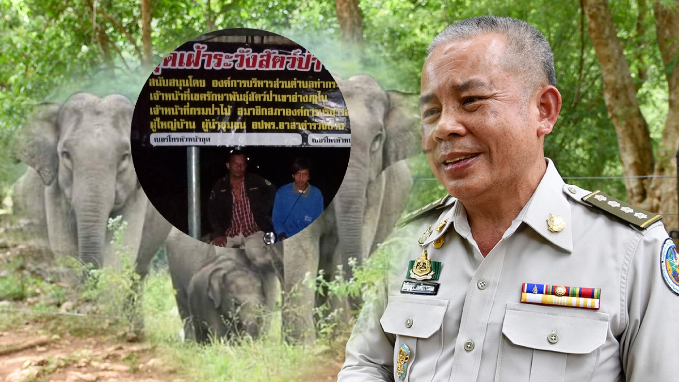 บูรณาการทุกมิติ แก้ไขปัญหาช้างป่ารอยต่อ 5 จังหวัด