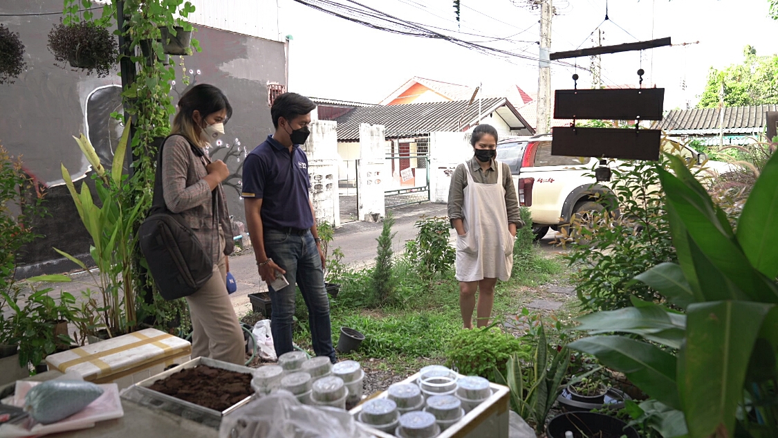เจ้าของร้านกาแฟวอนจับคนร้ายขโมยต้นไม้ด่างพันธุ์“ญาญ่า”