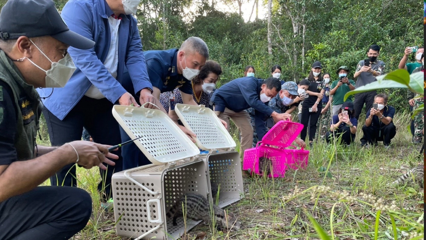 ภาพ : กรมอุทยานแห่งชาติ สัตว์ป่า และพันธุ์พืช