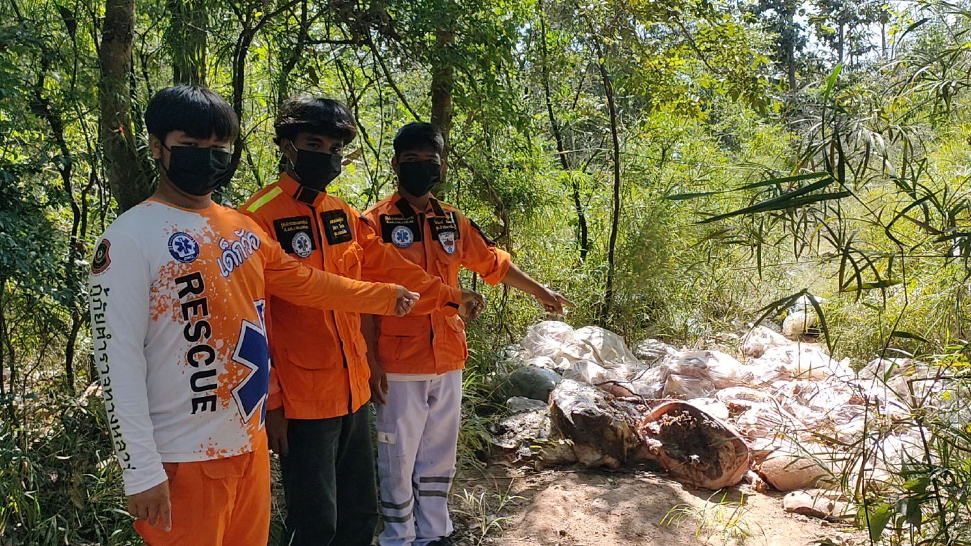 ชาวบ้านผวาพบซากหมูกว่า1ตันถูกทิ้งปริศนาเกลื่อนป่าชุมชนหวั่นติดเชื้อ