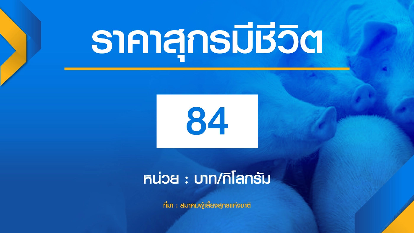 พาณิชย์ขอผู้ผลิต ‘ตรึง‘ ราคาน้ำมันปาล์ม