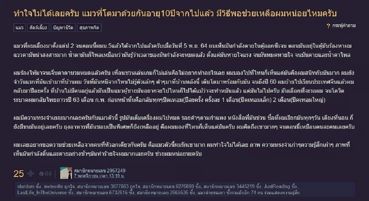 ทาสแมวหนุ่มม.5 สุดเศร้า หลังน้องแมวสุดที่รักจากไป วอนขอกำลังใจชาวเน็ต