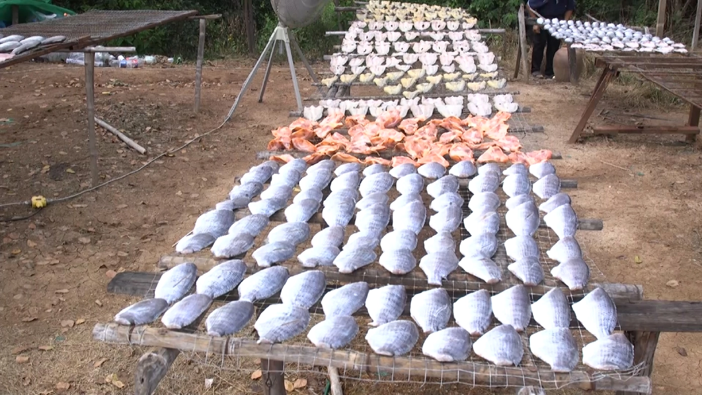 ขาย ‘ปลาเกลือแดดเดียว‘ โกยเดือนละ 5 แสน!