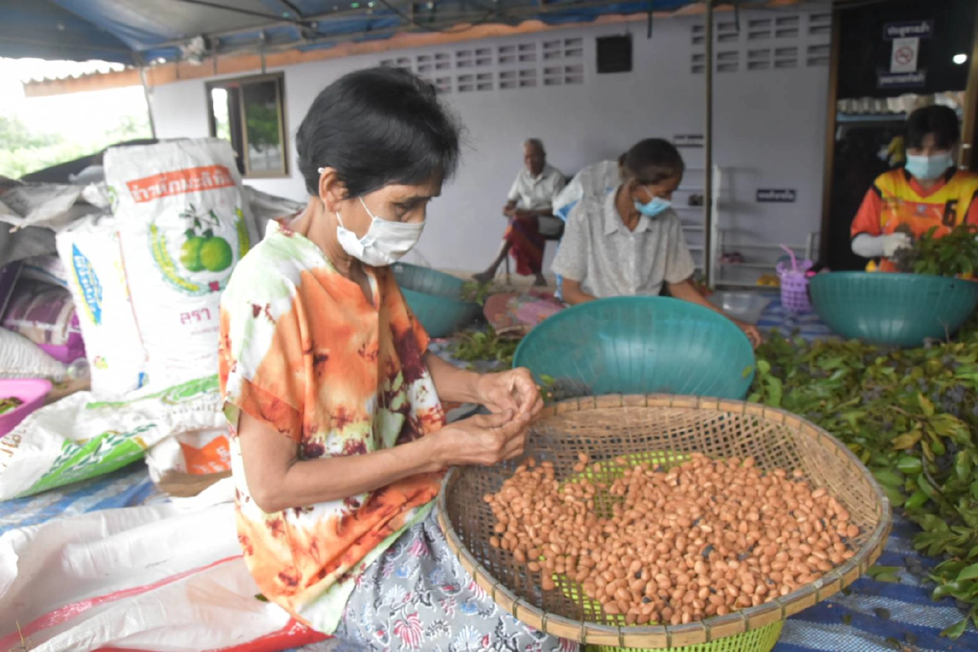 "ลูกหยีสามรส" บ้านหนองแสงสร้างรายได้ให้ชุมชน