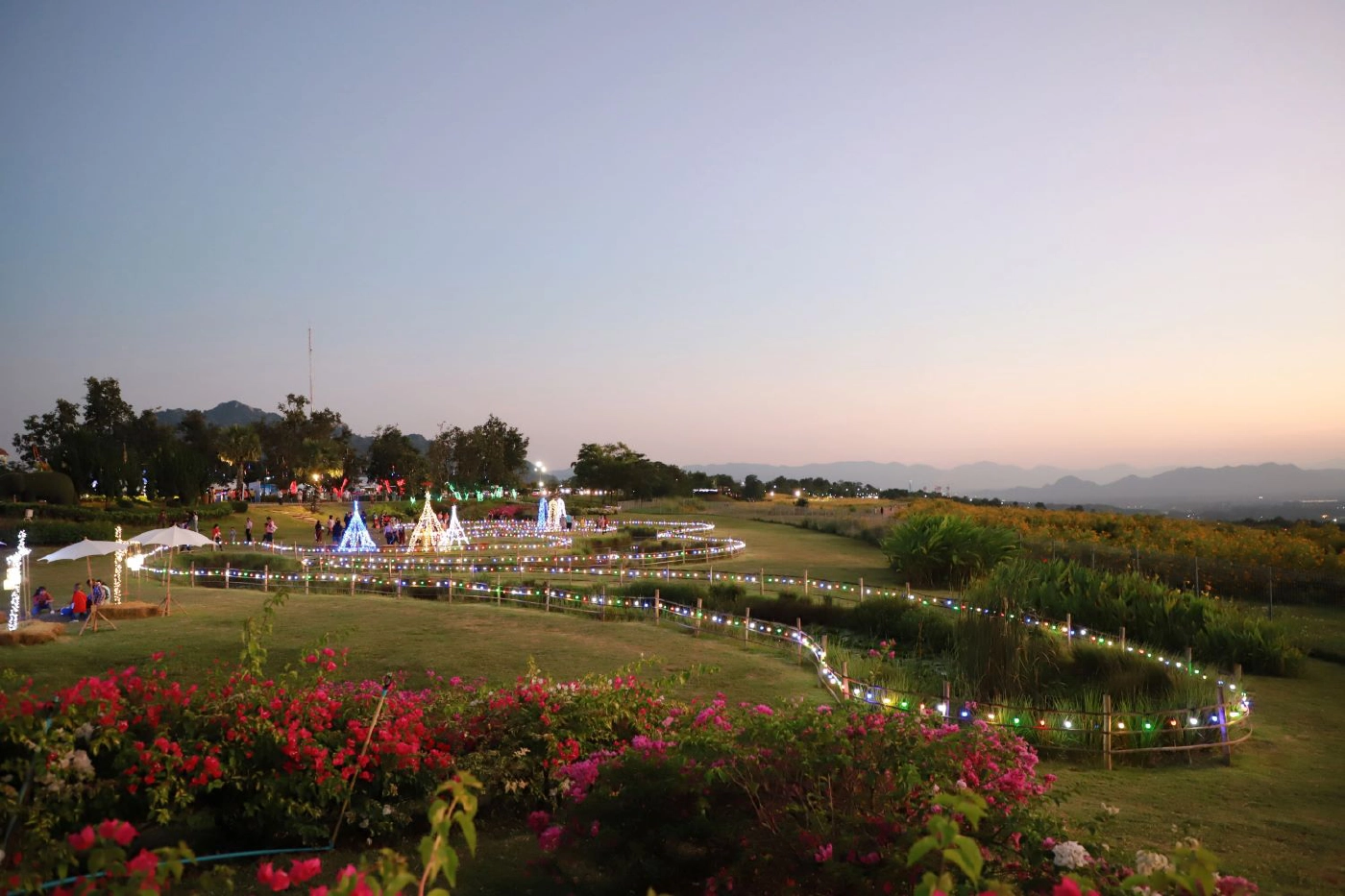 กฟผ.แม่เมาะ เนรมิตทุ่งดอกไม้-สร้าง “ขัวแตะ-เติ๋นลอยฟ้า”