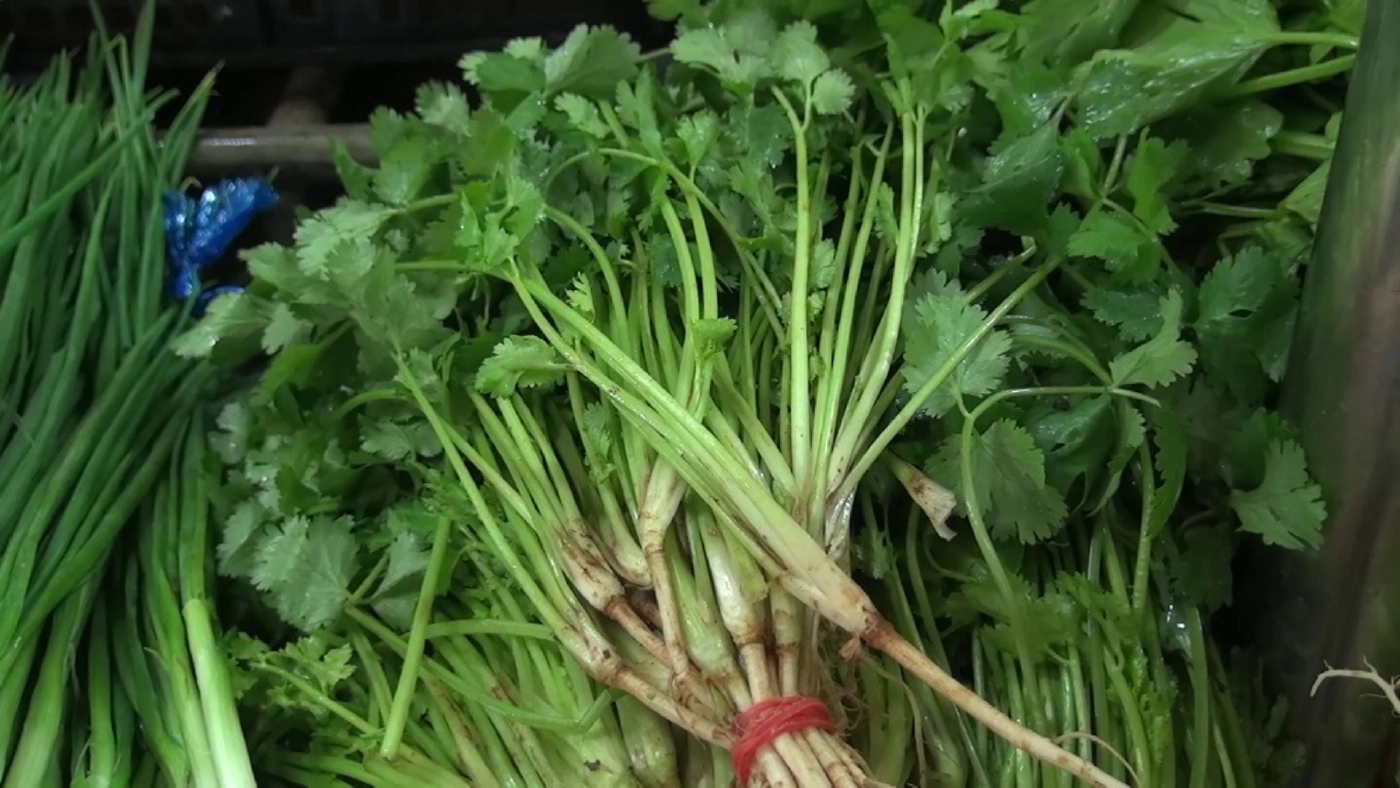 ผักชีราคาแพง