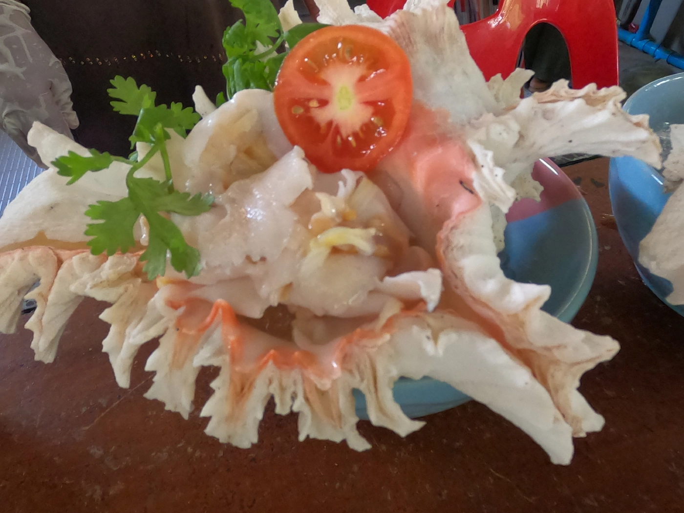 ยกทะเลมาไว้บนบกเสิร์ฟ ซาซิมิหอยสังข์ยักษ์