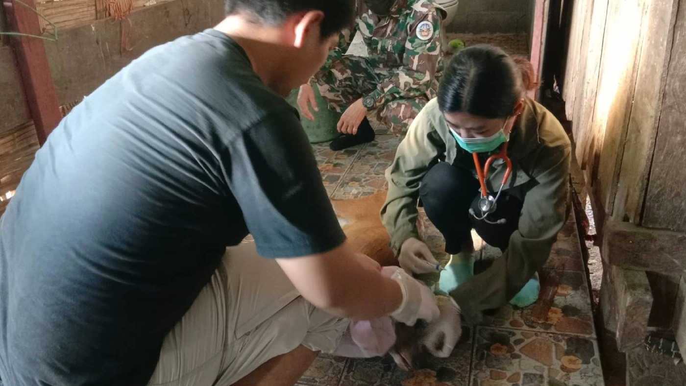 ภาพ : กรมอุทยานแห่งชาติ สัตว์ป่า และพันธุ์พืช