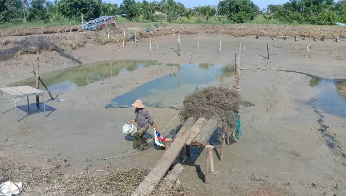 ขาดทุนยับเกษตรกรทุกข์น้ำท่วมกระชัง ปลาไหลตามน้ำไม่เหลือสักตัว